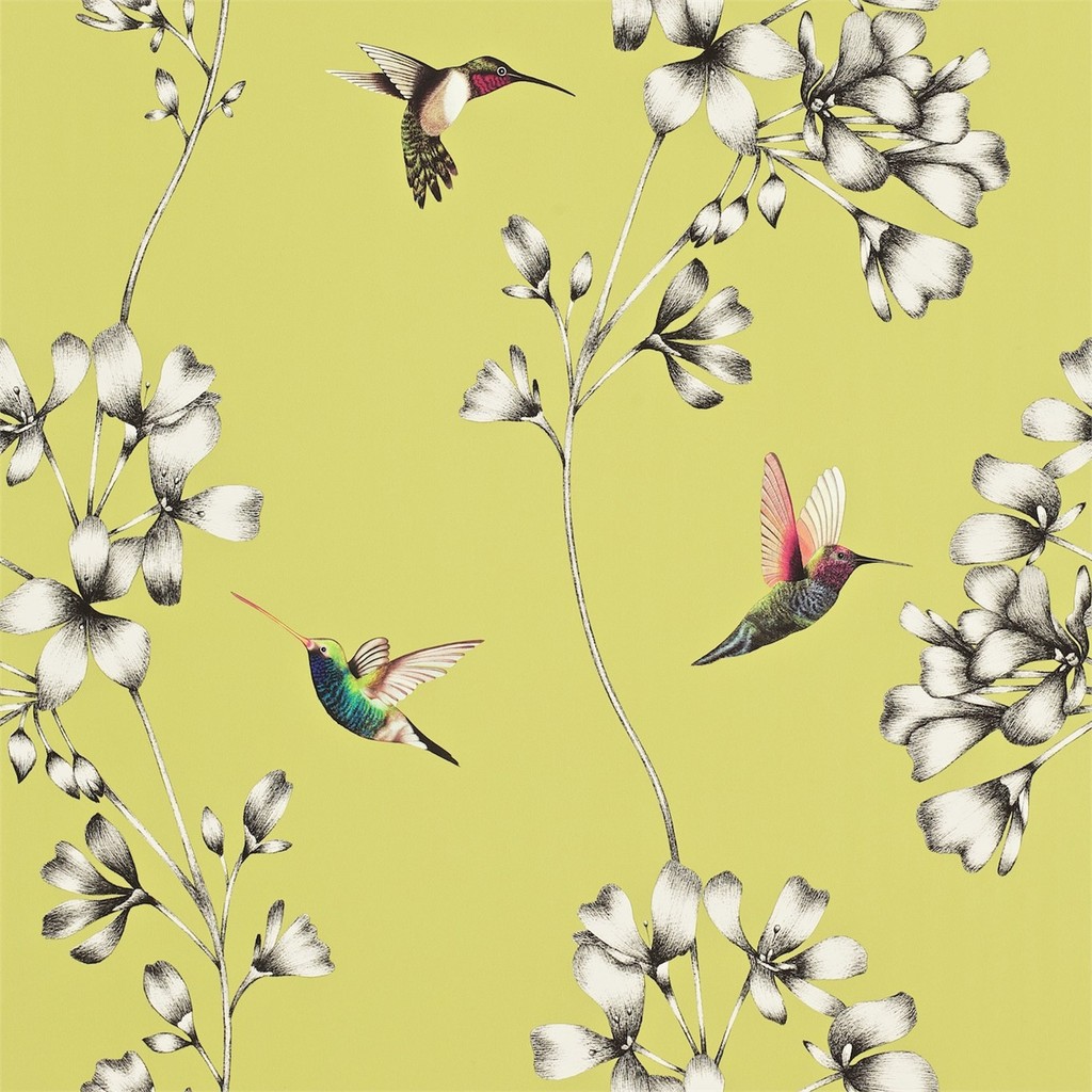Carta Da Parati Fotomurale Colibrì Animali Tropicale Country Vintage 242 - Soggiorno Cucina Camera Da Letto Tnt 240 X 240 Cm Adesiva 90887922