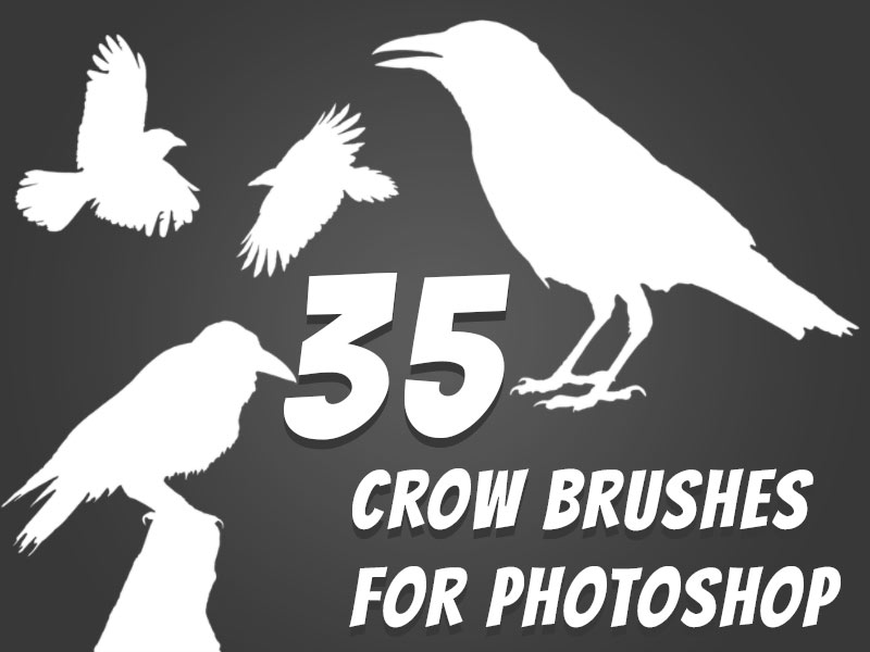 35 crow brushes for photoshop free