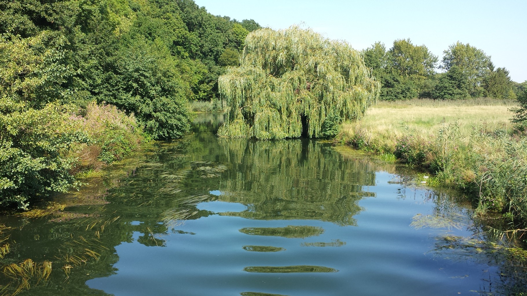 Spaziergang an der Innerste naturschutzvereinborsum