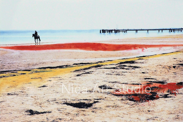 Horse at the beach, 2019, 30 x 20 cm, photography with oil color