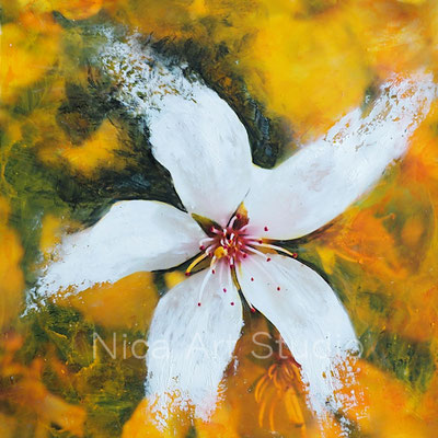 Kirschblüte, 2018, 20 x 20 cm, Fotografie mit Ölfarbe, in der Galerie KuRa Hamburg