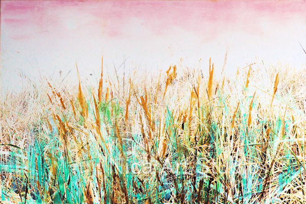 Gras, 2018, 30 x 20 cm, photography with oil color