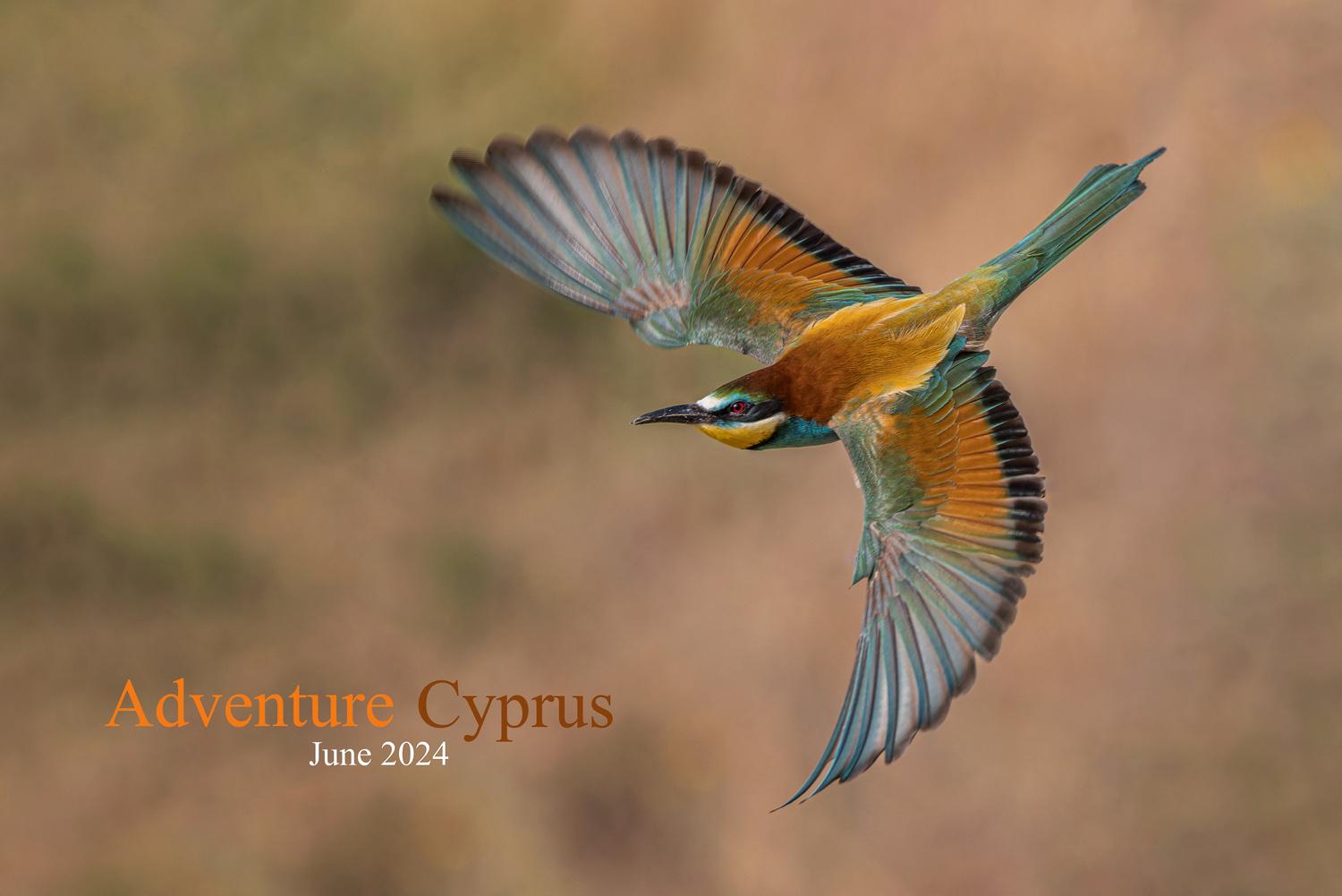 Adventure Cyprus June 2024
