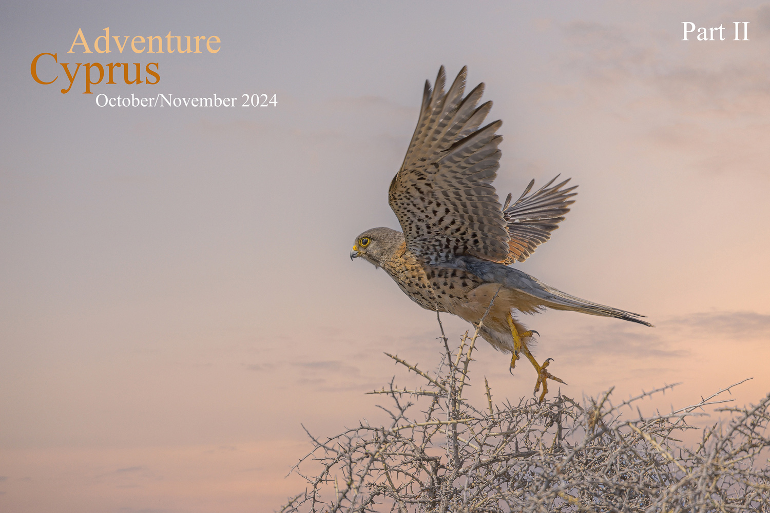 Adventure Cyprus - October / November 2024 / Part II