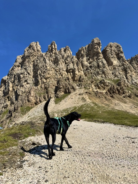 Wandern mit Hund im den Dolomiten - Übernachtung mit Hund auf der Seiser Alm