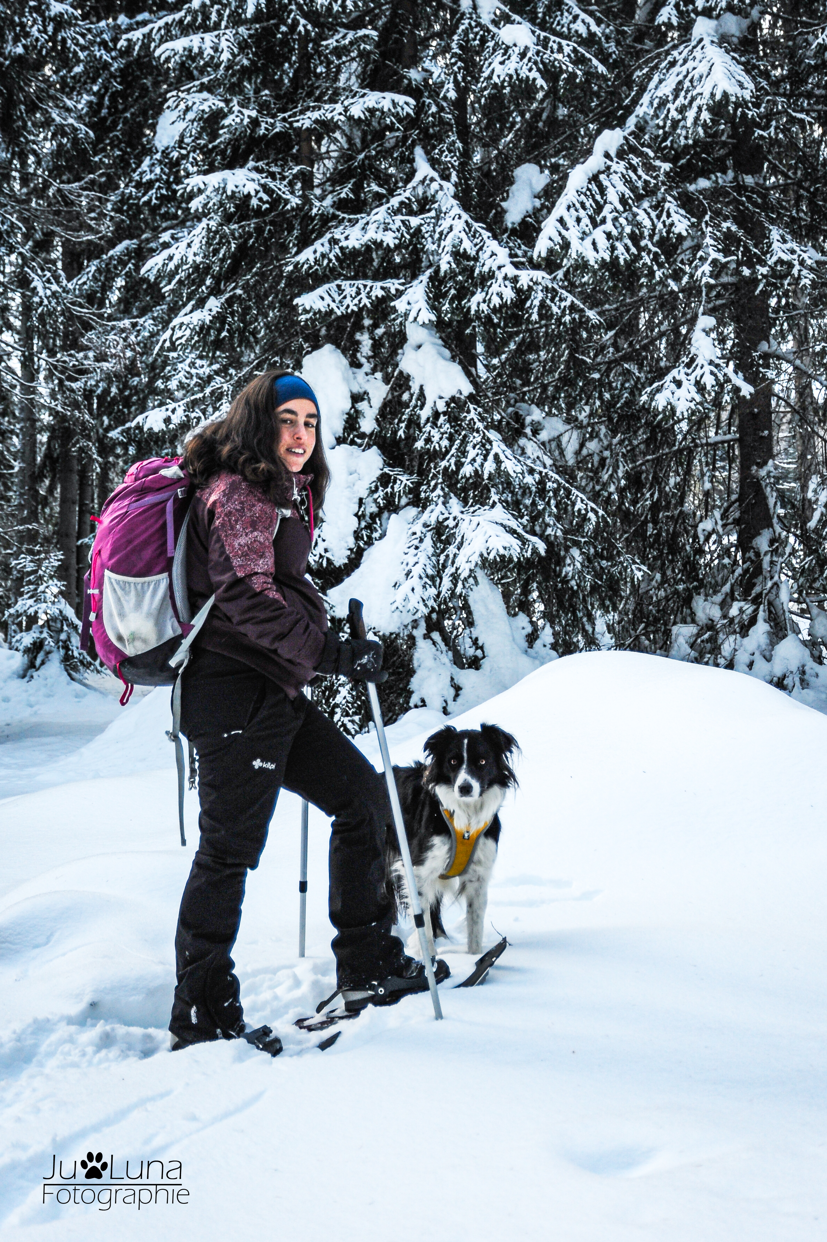 Wandern im Winter mit Hund