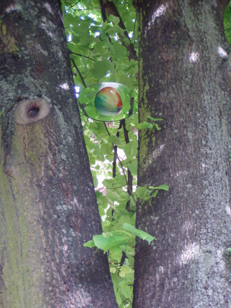 Foto NH