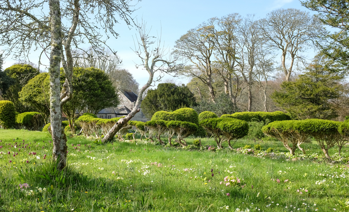 Godolphin House gardens, 9th April