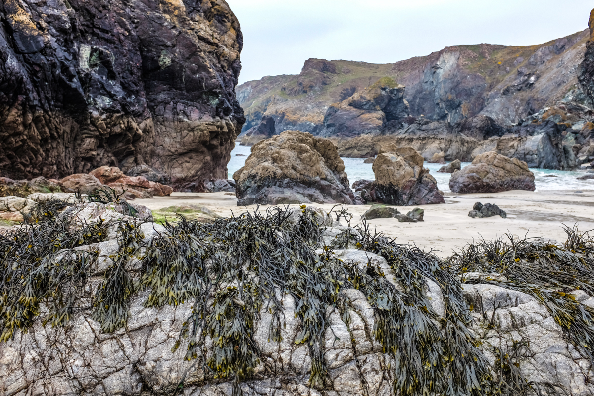 Kynance Cove, 9th April