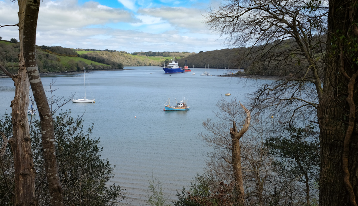 Walking from Trelissick Park by Cowlands Creek off the Fal estuary, April 10th