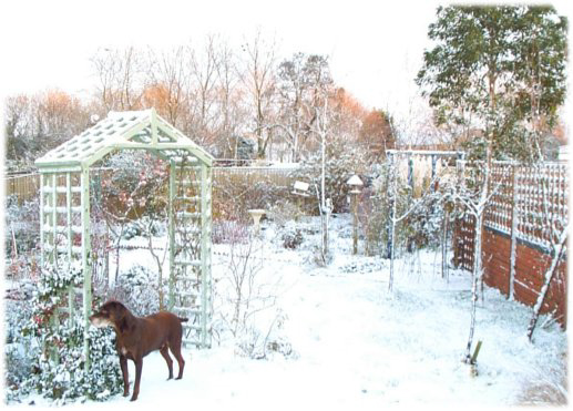 Snow at Huxley's Barn