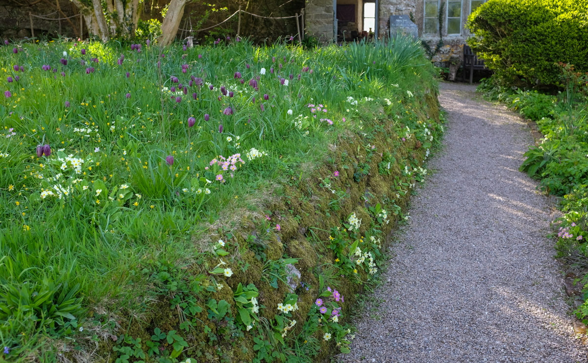 Godolphin House gardens, 9th April