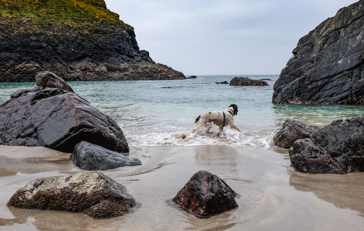 Kynance Cove, 9th April