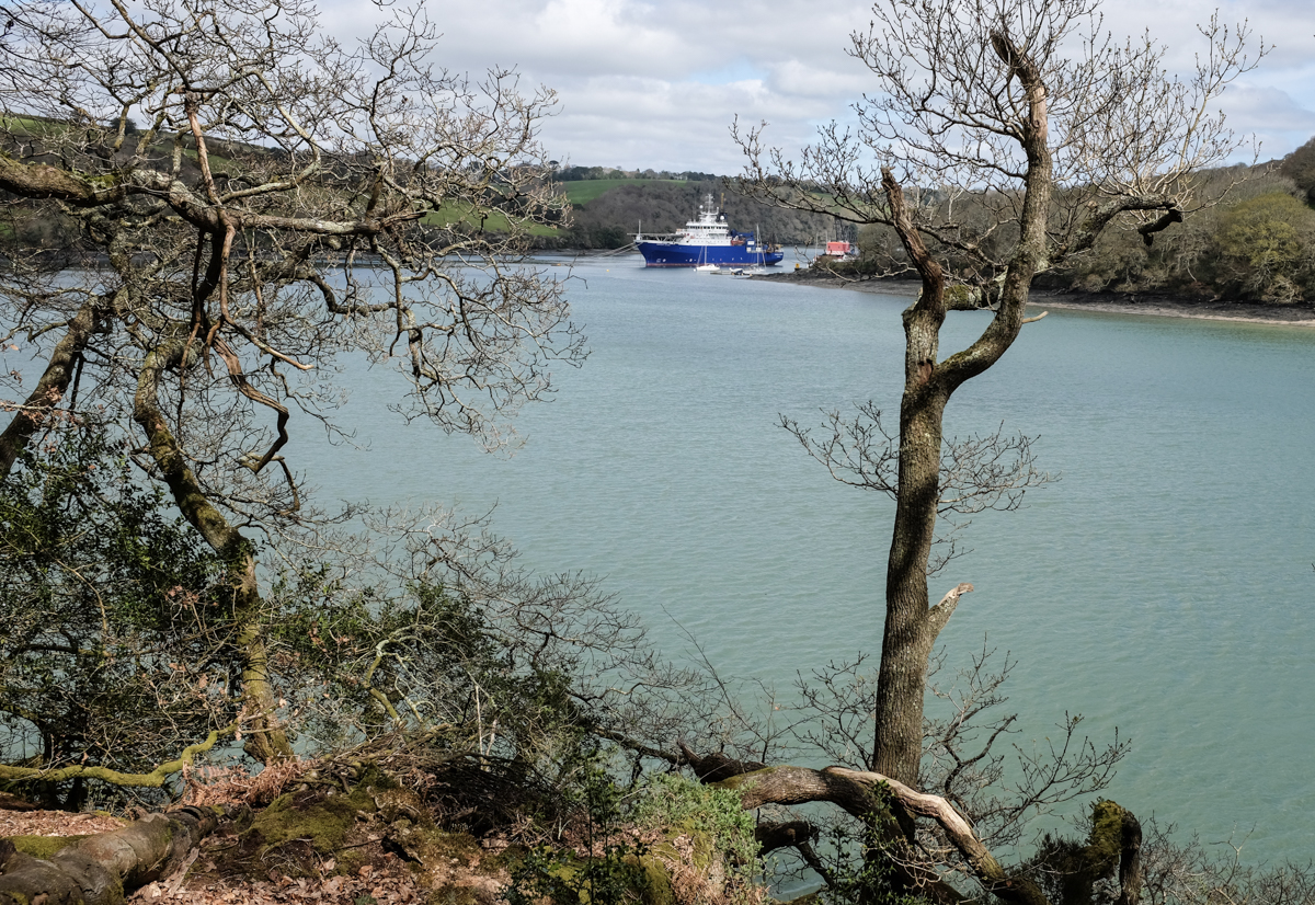 Walking from Trelissick Park by Cowlands Creek off the Fal estuary, April 10th