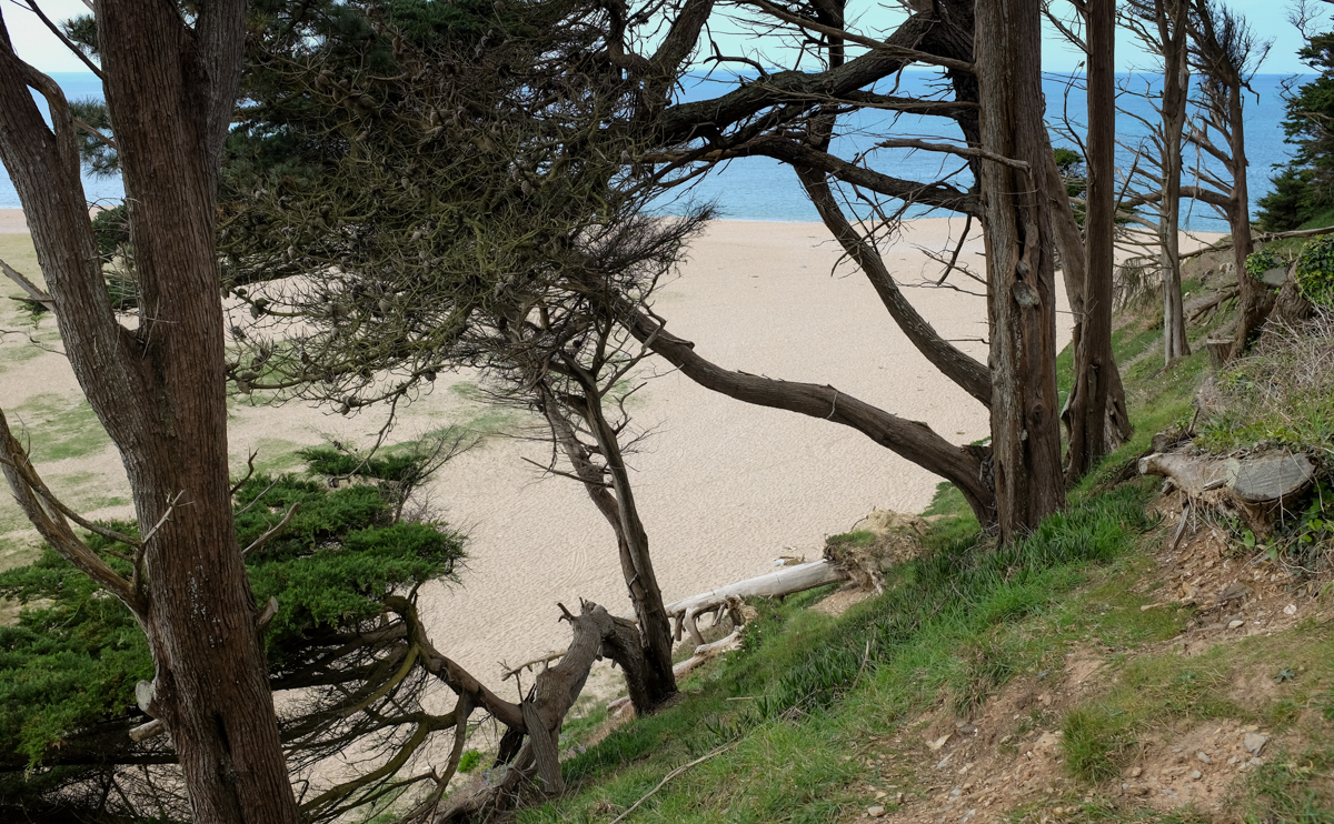 Walking at Penrose to Looe Bar, April 11th