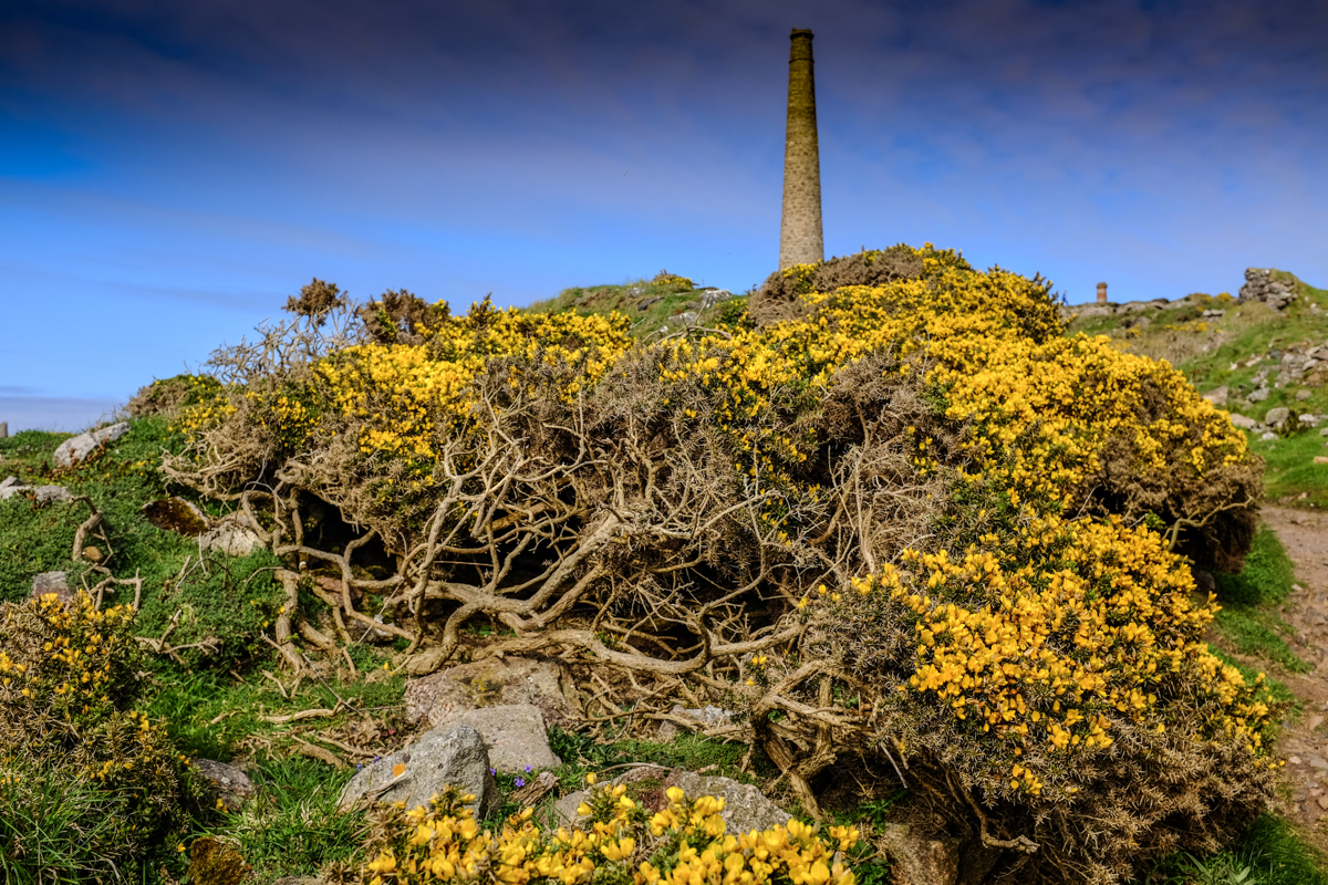 Botallack Mine & Coast Path, April 13th