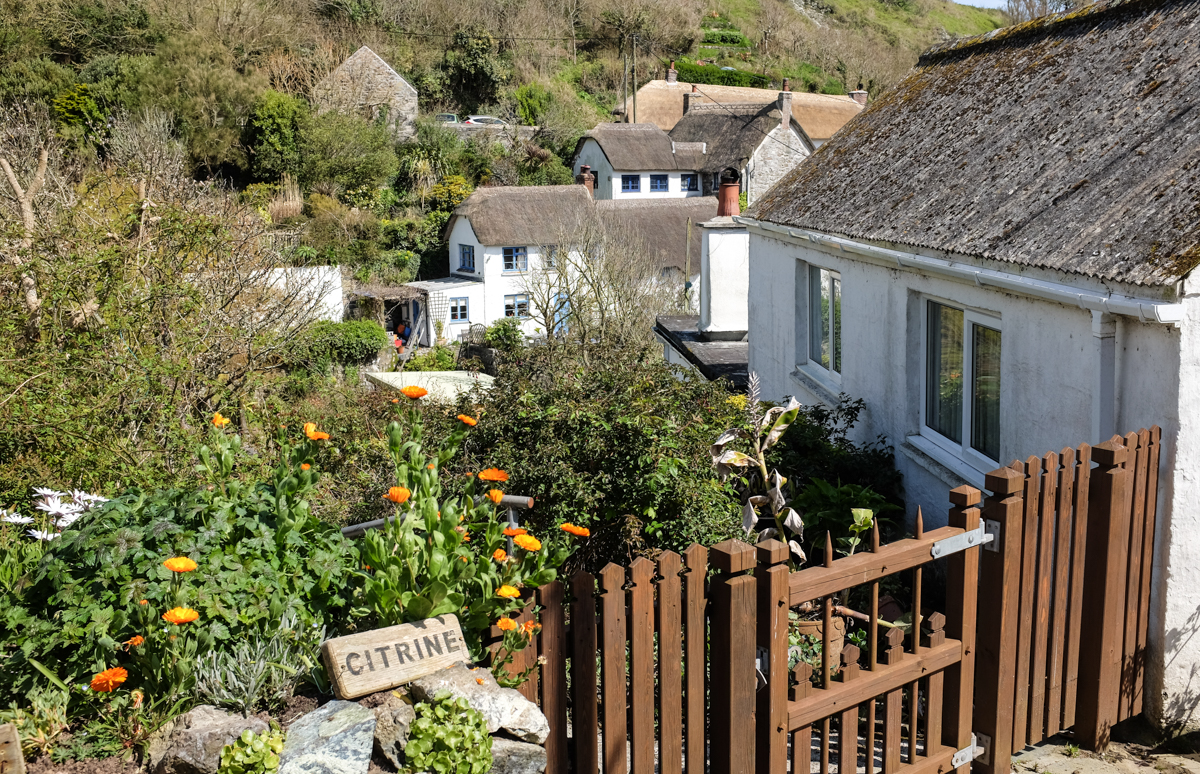 Cadgwith Cove (village), 11th April