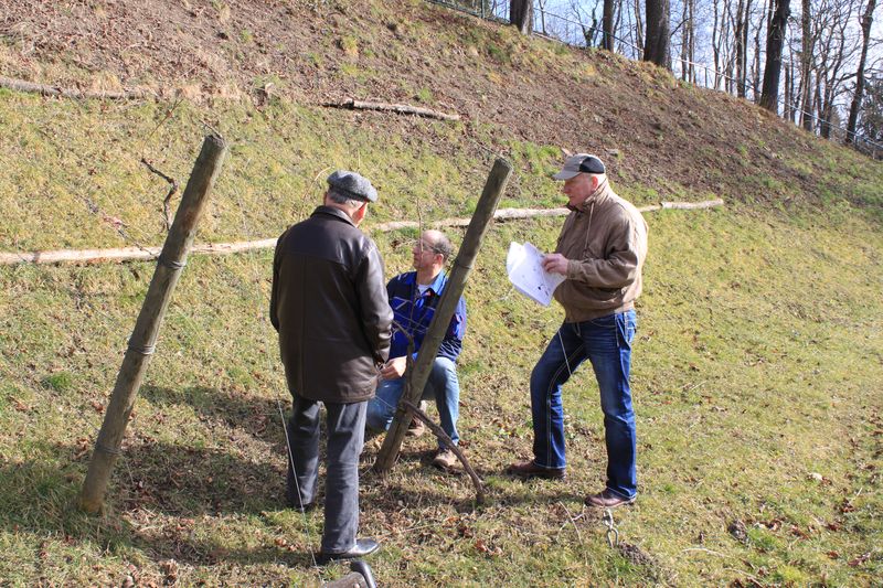 Neuanfang am Weinberg- bedarf guter Planung.