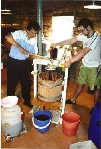 Wein pressen