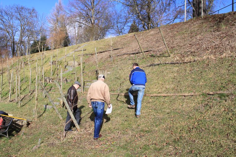 Neuanfang am Weinberg.