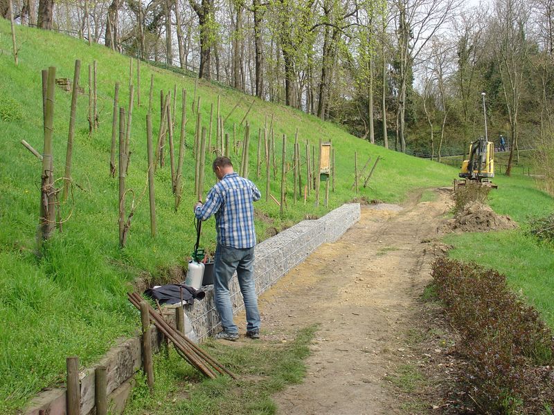 Unser Weinberg wird wieder aufgebaut, die Arbeiten sind in vollem Gange !