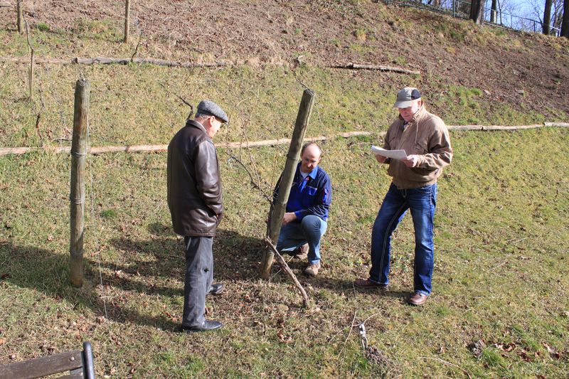 Lagebesprechung am Weinberg mit Sektionsleiter, Kellermeister und Neumitglied.