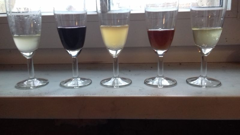 Weißwein, Rotwein, Birnenwein, Hagebuttenwein, Apfelwein, von links nach rechts