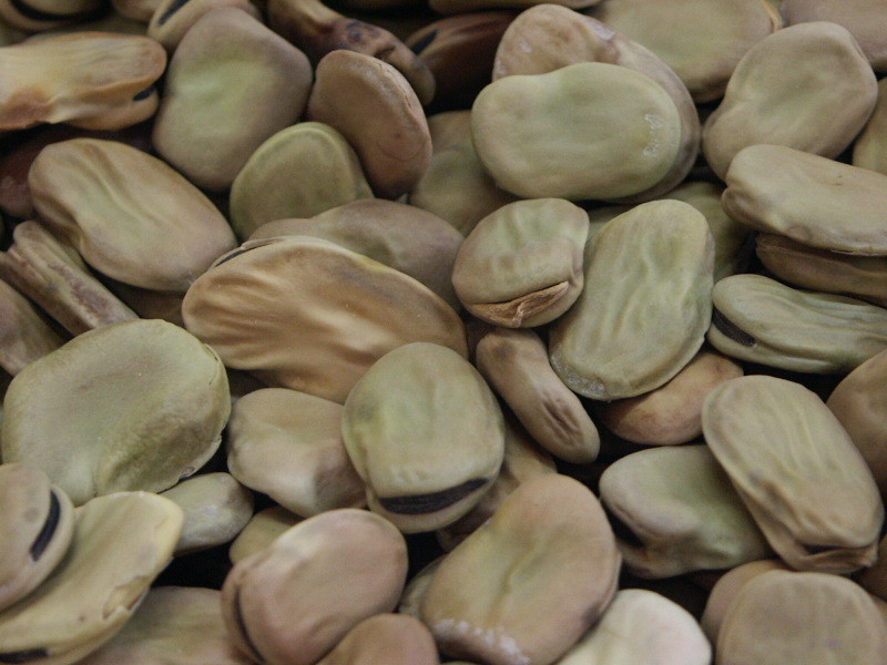 Secret recipe: Sardinian fava beans