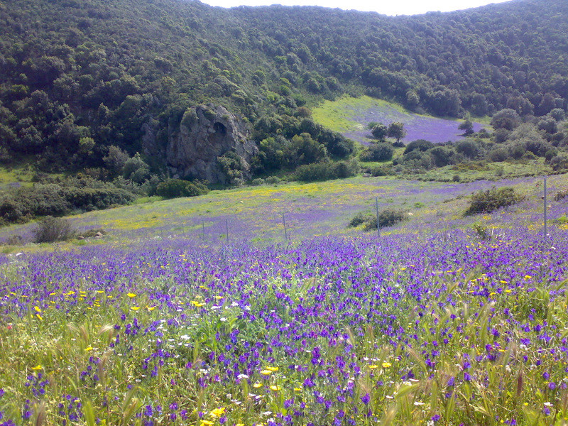 Springtime colours in Costa Verde (Sardinian West coast)