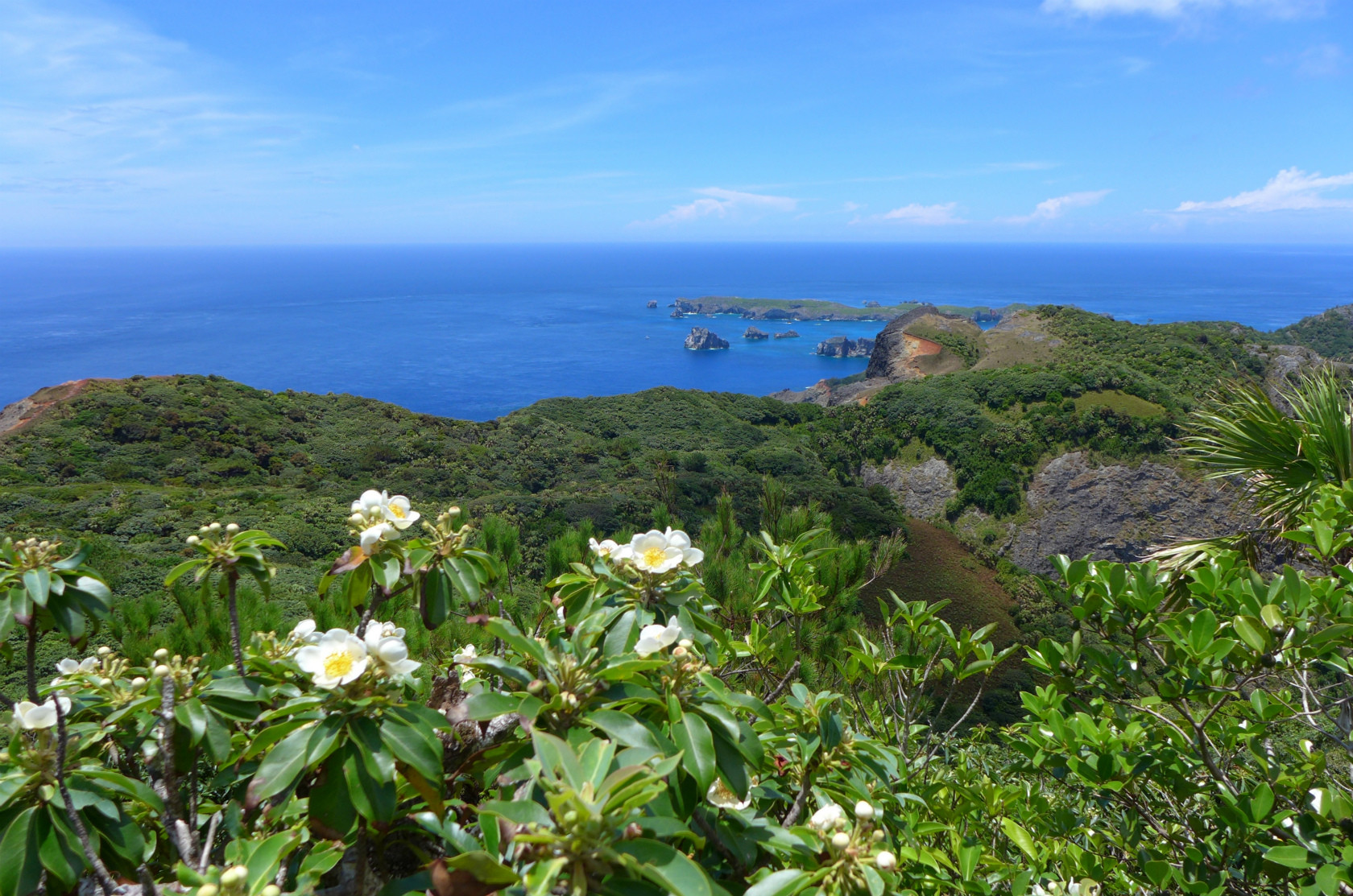 世界遺産の自然のフィールドで遊ぼう おすすめの過ごし方をご紹介 小笠原諸島の観光には くつろぎの宿 てつ家 Base Of Tourisum To The Ogasawara Island Please Stay Tetsuya