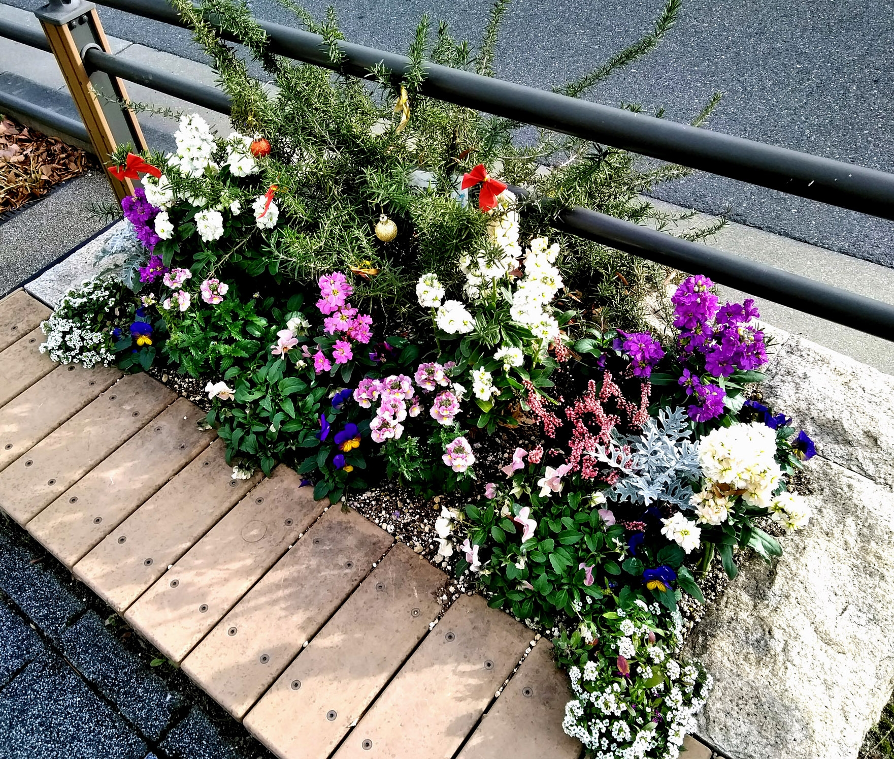 住民がデザイン抜群の沿道花壇 箕面 小野原西 サンシャインロード でお花の街づくり まちなかのみどり 大阪
