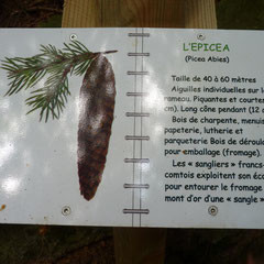 Picture of explanation found during the trail