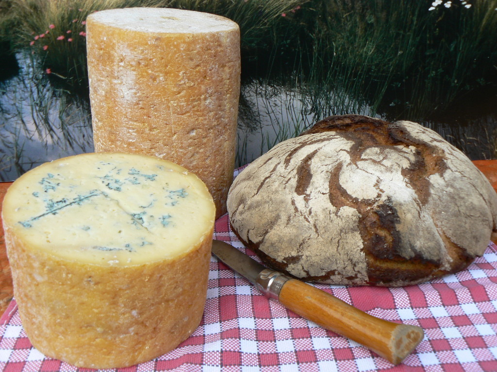 The Fourme de Montbrison