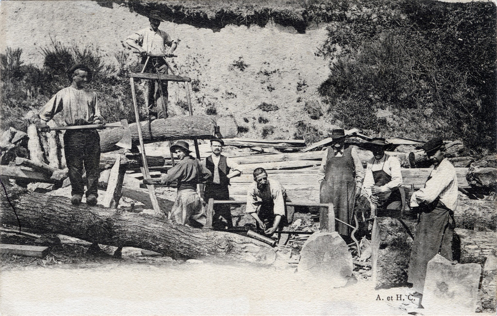 The amazing history of the pit sawyers