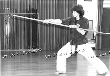 Mireille Auda © Les Ecoles Bushido