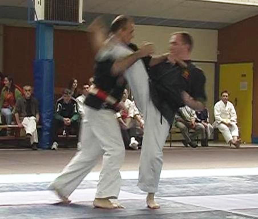 Maître Frédéric Dupertout et Philippe Lesca : Karaté, Self Défense, Ju Jitsu, Arts martiaux © Frédéric Dupertout – Les Ecoles Bushido