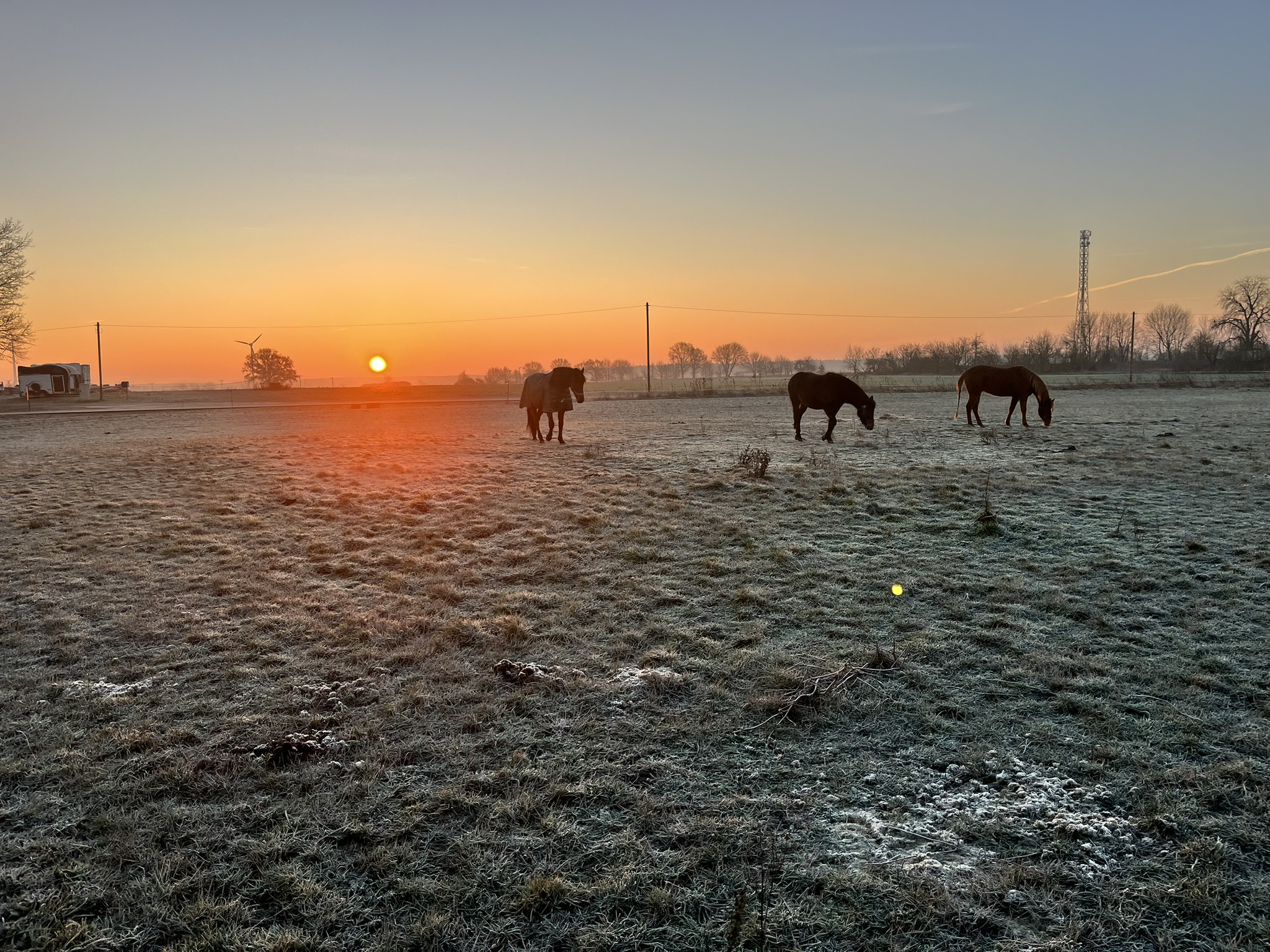 Januar 2025