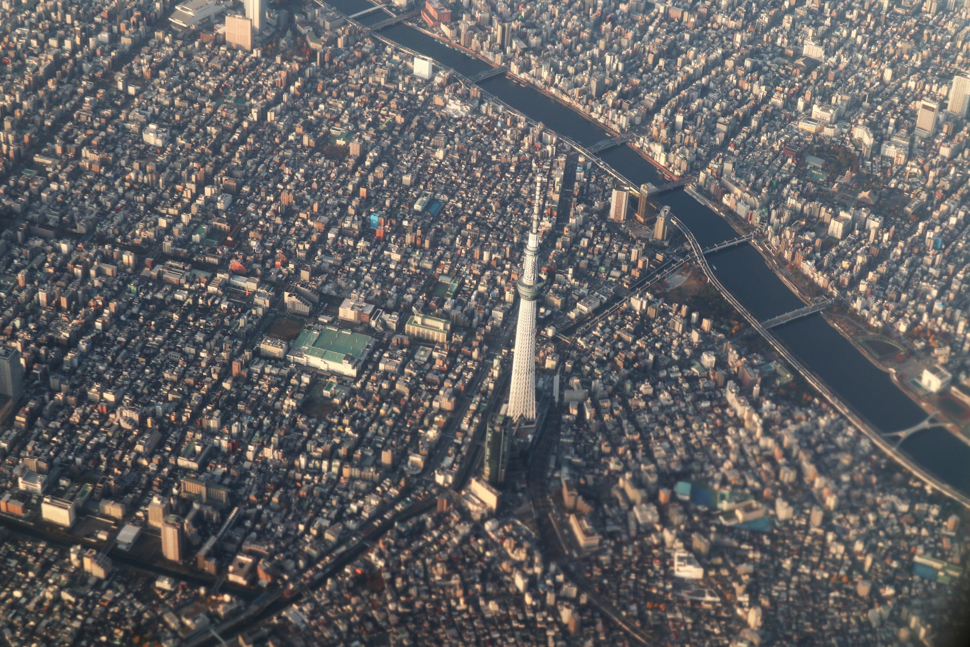 日本フライトセーフティ株式会社 -NFS-