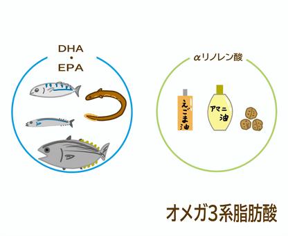 【Vol.359】知らなきゃ損！ 「オメガ3＋運動」でダイエット効果が爆速？！ 最新研究で判明した"相乗効果"の真実