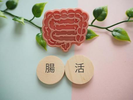 【Vol.355】なぜ腸活で痩せない？ 【9割が知らない】 ダイエット成功の「腸」新常識