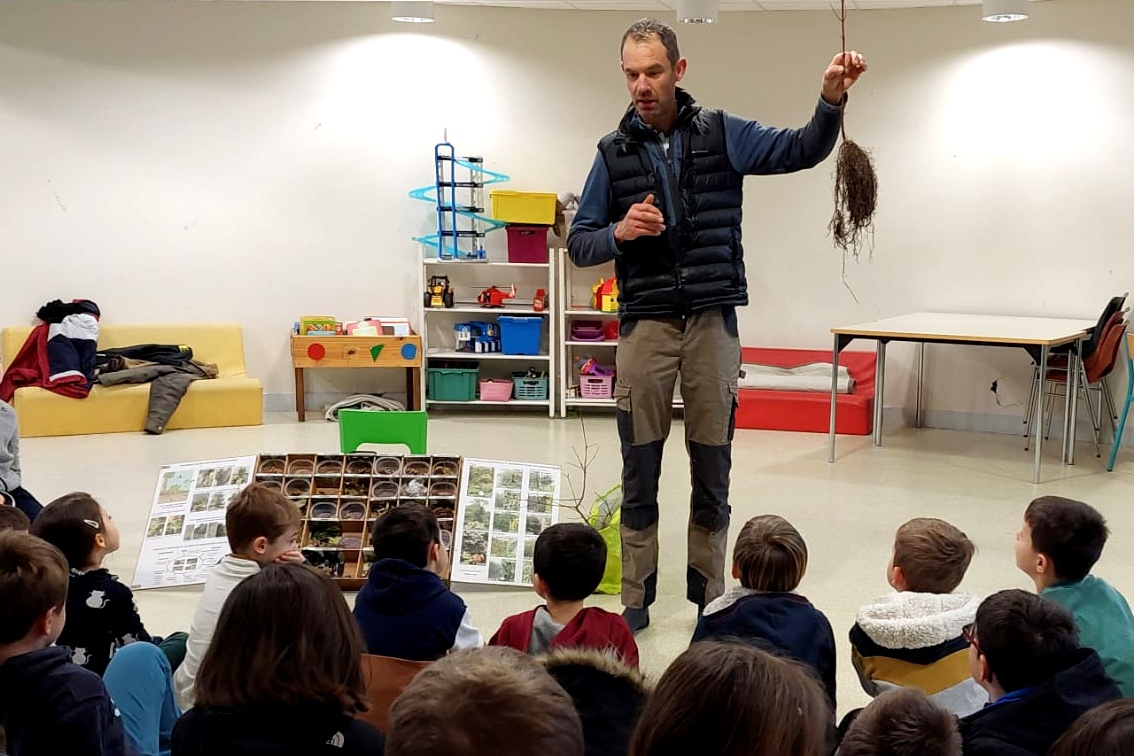 Luciole-paysage_Participation_explication-enfants-arbre