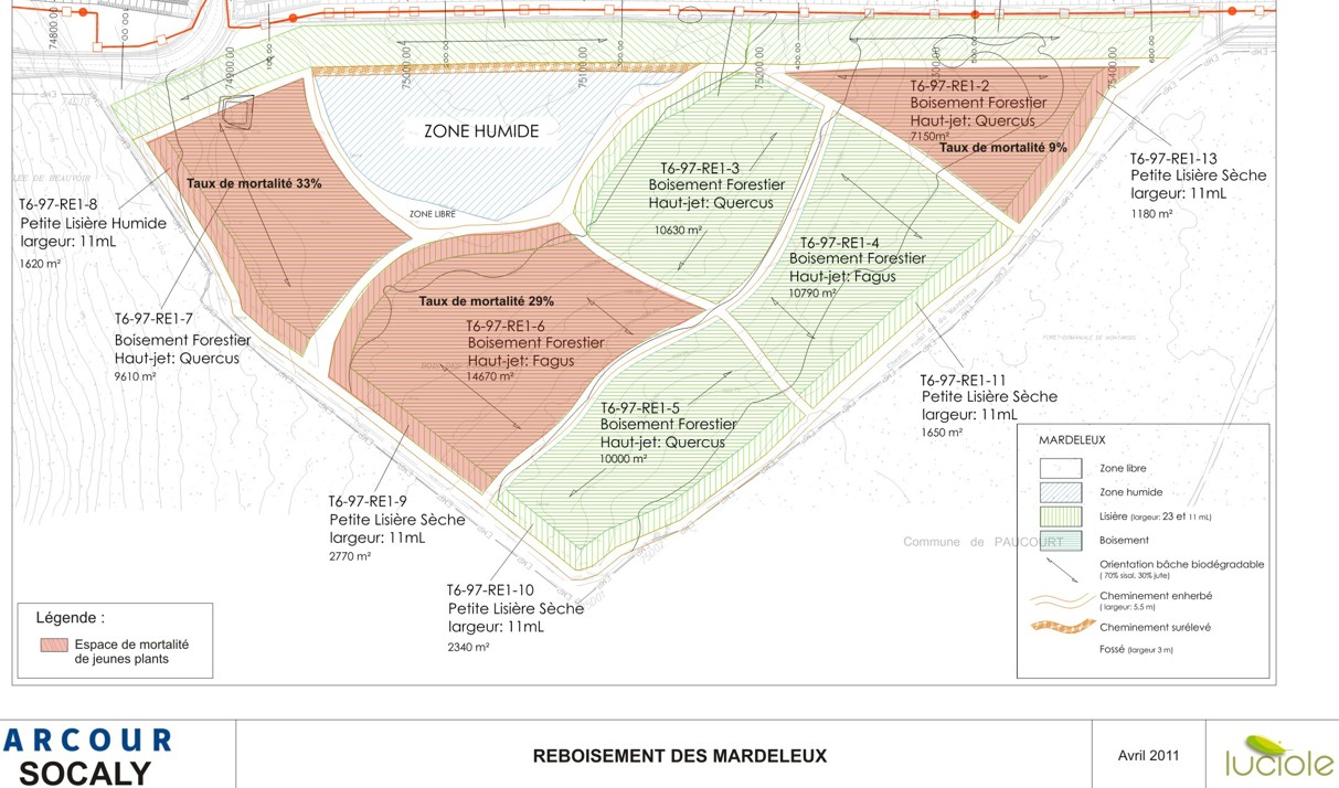 Luciole-paysage_Plan-Boisement-A19-Mardeleux