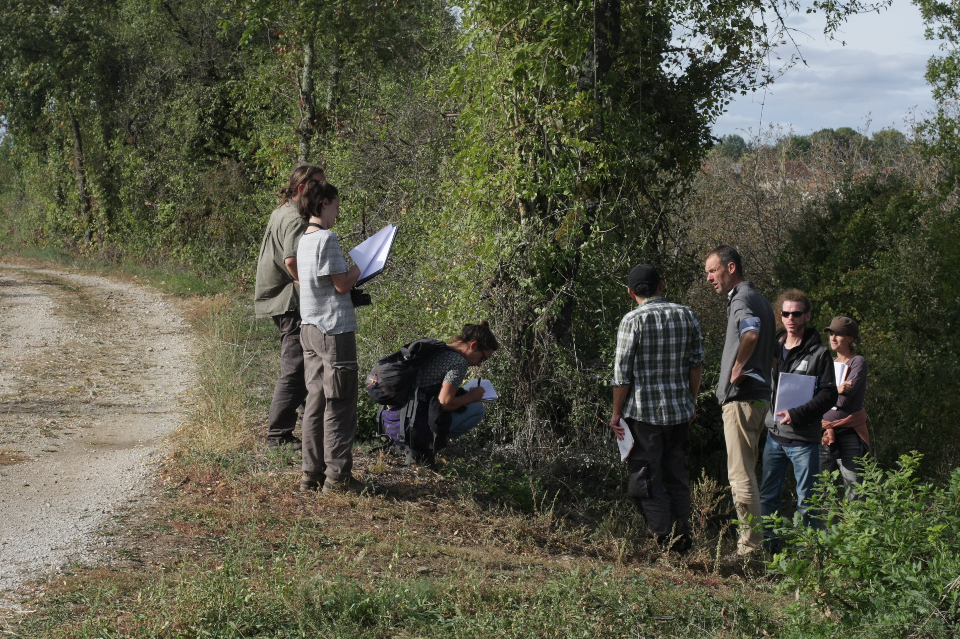 Luciole-paysage_Formation-Haie-plantation