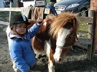 きれい♪きれい♪