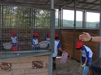 きれいになったかな？