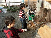 おいしいかい？