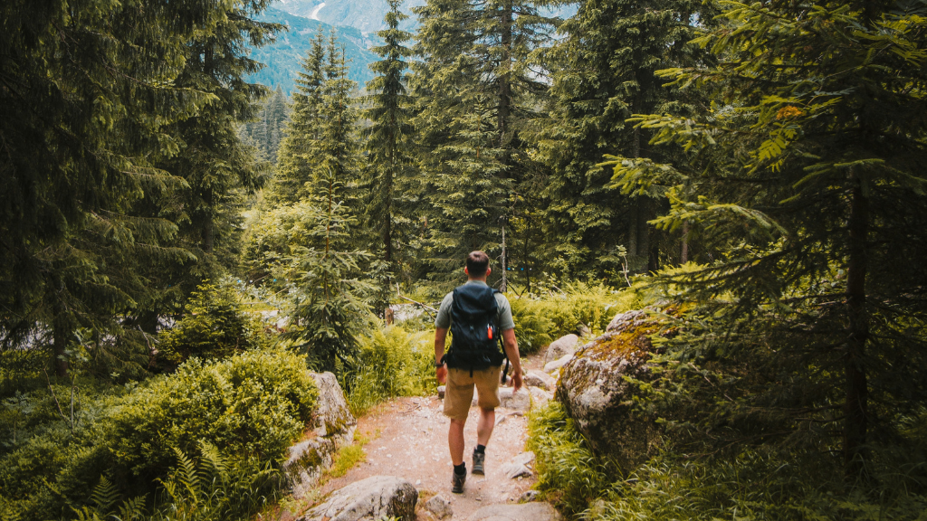 Caminar para estar en forma