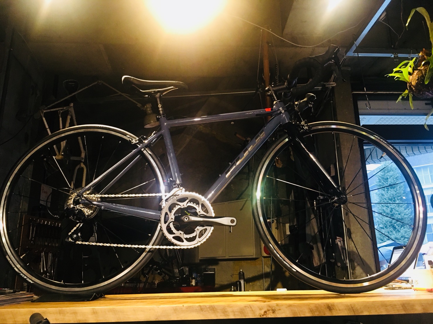 ロードバイク - ciccicycle チッチサイクル 東府中 自転車