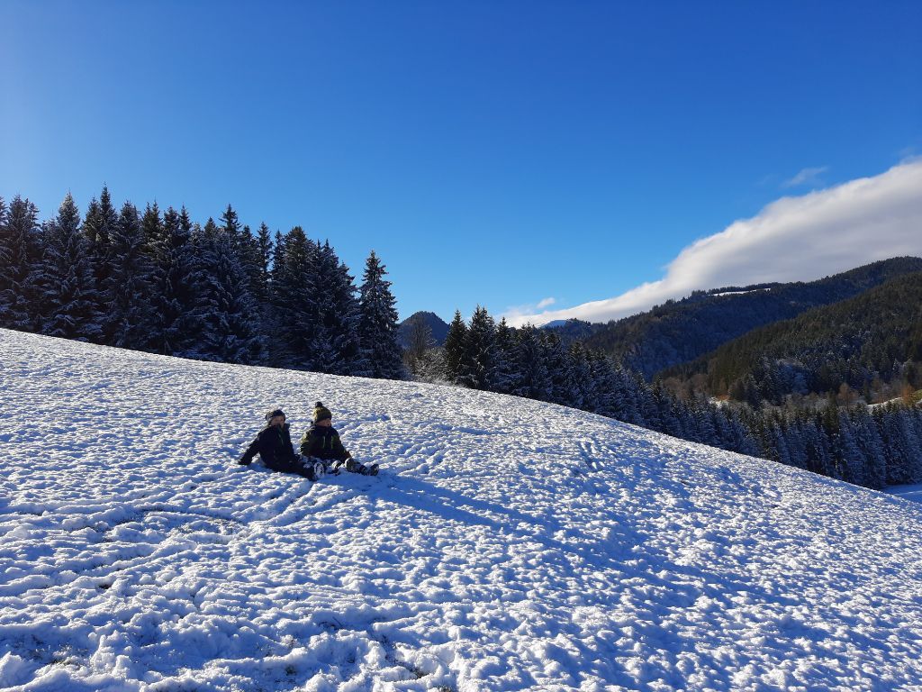 Winter im Wald: Rodeln, Basteln, Experimente