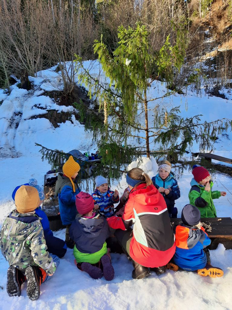 Ein Christbaum für die Waldtiere